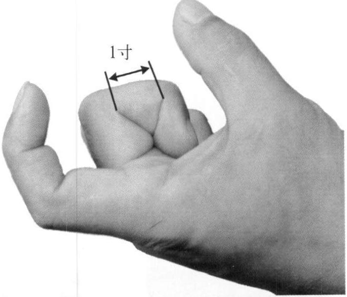 2.手指尺寸法